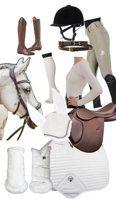 several different types of equestrian clothing and accessories