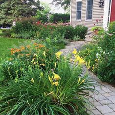 a garden with lots of flowers next to a house