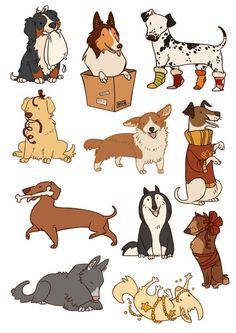 many different types of dogs with presents in their paws