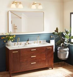 a bathroom with two sinks, mirror and potted plant in the corner on the wall