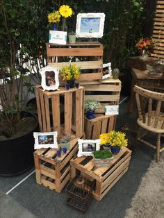 several wooden pallets with pictures and flowers on them sitting in front of some potted plants