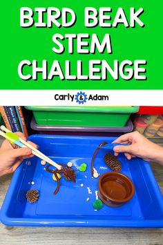 Bird Beak Investigation and STEM Challenge (Animal Adaptations) Bird Beaks Activity, Stem Challenges Elementary, Animal Adaptation, Spring Lesson Plans, Captivating Book, Spring Lessons, Animal Adaptations, Bird Beaks, Spring Classroom