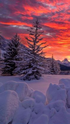 the sun is setting over some snow covered trees and mountain range in the distance with red clouds