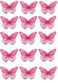 many pink butterflies are shown on a white background, each with different shapes and sizes