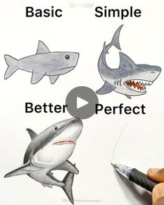 someone is drawing different types of sharks