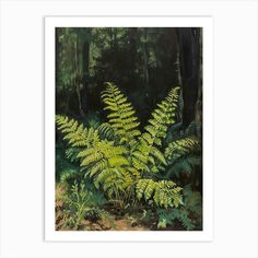 a painting of green ferns in the woods