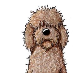 a drawing of a shaggy dog with black eyes