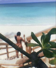 a young boy standing on the beach next to an orange tree branch and looking out at the ocean