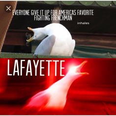 a white bird sitting on top of a red box next to an image of a seagull