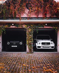 two cars parked in front of a building with vines growing on it