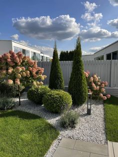 some bushes and trees are in the yard