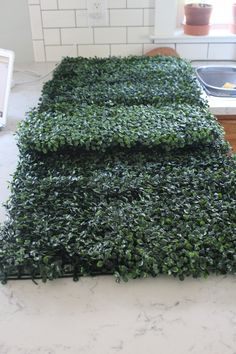 the kitchen counter is covered with green plants