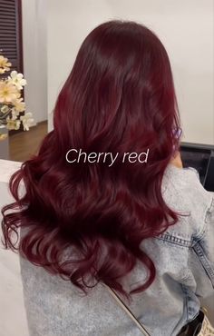 Dark Red Velvet Hair, Cherry Red Hair Ideas, Cold Red Hair Color, Light Cherry Red Hair, Cheery Red Hair Colour, Two Colour Hair, Cold Red Hair, Maroon Red Hair, Scarlet Red Hair