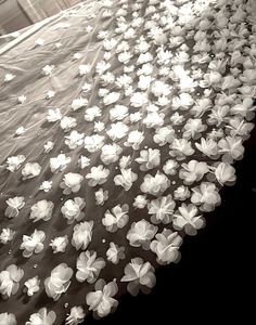 white flowers are floating in the water on a sheeted surface, as seen from above