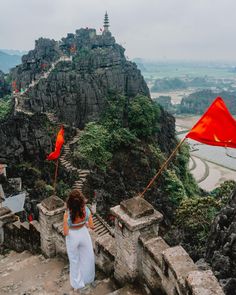 🌟 Experience the natural and historic charm of Ninh Binh, where towering limestone karsts rise majestically over serene river valleys, and ancient temples are nestled amidst lush greenery. The best time to visit is from January to June, when the weather is cool and the landscape is at its most vibrant, offering an ideal setting for exploration and photography.  Here are some must-visit spots in Ninh Binh: 📍 Hoa Lu Ancient Capital 📍 Mua Cave 📍 Trang An 📍 Tam Coc 📍 Bich Dong Pagoda 📍 Van Long Nature Reserve 📍 Cuc Phuong National Park  📸 Credit: @unfamiliar.land Cuc Phuong National Park, Travel Instagram Ideas, Vietnam Tour, Vietnam Tours, Ancient Temples, Travel Companies, Travel List