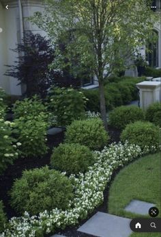 an image of a garden with white flowers and trees in the front yard, along with stone steps leading up to a house