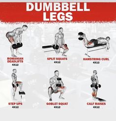 the dumbbell legs workout poster shows how to do squats and pull ups with weights