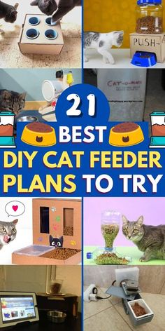 Wall Cat Feeding Station, Cat Feeding Station Ideas, Diy Cat Feeding Station, Cat Feeding Station Dog Proof, Cat Feeder Diy, Cat Puzzle Feeder, Diy Cat Treats, Diy Cat Food, Dog Food Station