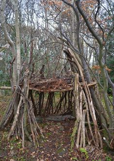 an outdoor shelter made out of sticks and branches in the middle of a wooded area