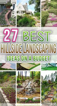 the best hillside landscaping ideas on a budget