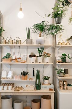 shelves filled with plants and potted plants on top of each other in a room