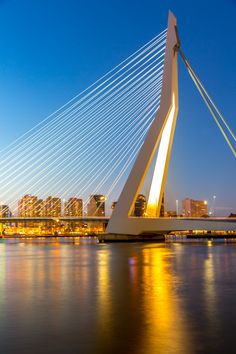 a bridge that is over some water with buildings in the backgrouund and lights on