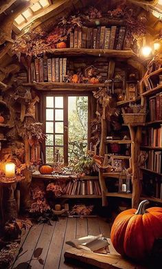 a room filled with lots of books and pumpkins next to a window covered in leaves