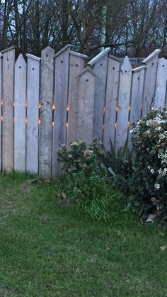 a cat sitting on the ground in front of a fence with candles lit up behind it