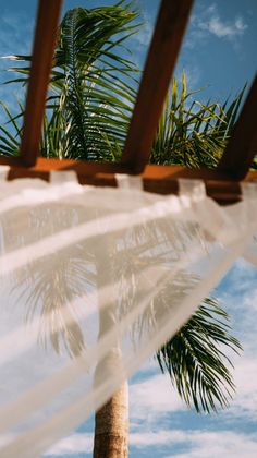 a palm tree is seen through the sheered fabric on a bed frame with blue sky and clouds in the background