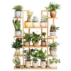 a wooden shelf filled with lots of different types of potted plants on top of each other