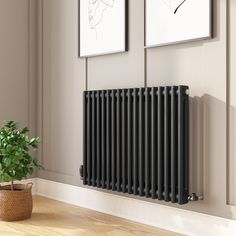 a black radiator in front of two pictures on the wall next to a potted plant