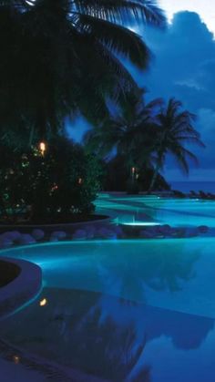 an empty swimming pool surrounded by palm trees at night with lights reflecting in the water