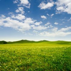 a green field with hills in the distance under a blue sky filled with white clouds