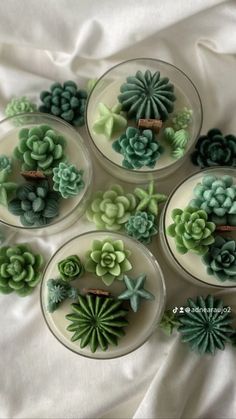 six glass bowls with succulents in them on a white cloth covered table