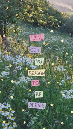 a field filled with lots of flowers and signs that say you've got no reason to be afraid