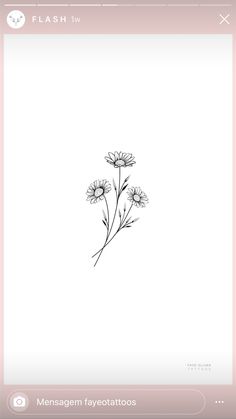 a drawing of some flowers on a white paper with the words flash tv written below it