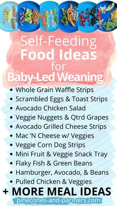 a flyer for a baby - led feeding program with the words, selffeeding food ideas