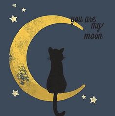 a black cat sitting on top of a crescent moon with the words you are my moon written above it