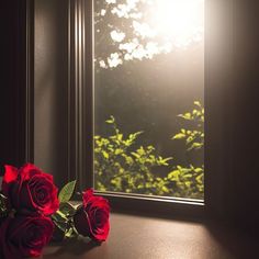 two red roses sit on a window sill in front of the sun shining through