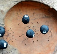 four black bugs with white eyes are on a piece of wood in the shape of a circle