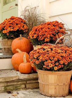 several pumpkins and gourds are sitting on the steps