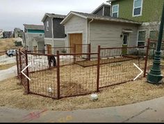 a dog is standing in the yard behind a fence that has been built into it