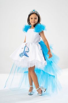 * The upper body of our Princess Elsa themed dress is made of high quality satin fabric and is lined. The back part of our product has window details, zippers and velcro. * There is a Princess Elsa image on the front and sides of the satin fabric used in the lower body. The skirt is embossed with crystal tulle in layers. There is a lining under the tulle skirt. The lining prevents the tulle from touching our children's bodies and increases their comfort. * The tail part of our product is velcro Blue Princess Costume For Party, Blue Princess Gown For Costume Party, Blue Princess Style Dress For Costume Party, Fitted Disney Party Dress, Fitted Disney Style Party Dresses, Disney Fitted Party Dress, Blue Fairytale Princess Dress For Dress-up, Blue Princess Fairy Dress For Costume Party, Blue Princess Fairy Dress For Fancy Dress