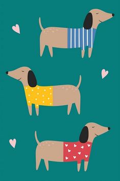 three dachshunds in sweaters with hearts on the back and green background