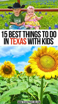 15 Best Things To Do In Texas With Kids Family Vacations In Texas, Cheap Family Vacations, Texas Bucket List, Things To Do With Kids