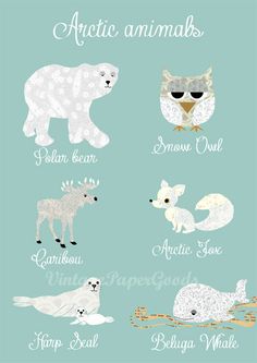 an animal poster with the names of different animals in french and english, on a blue background