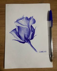 a pencil drawing of a blue rose on white paper with a pen next to it