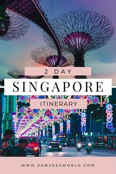 singapore with the words 2 day singapore itinerary in front of an image of lights and