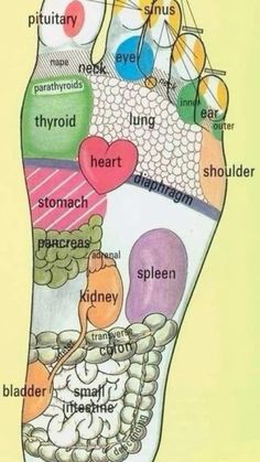 Reflexology Points, Creamed Honey, Lower Blood Pressure, Foot Massage, Pressure Points