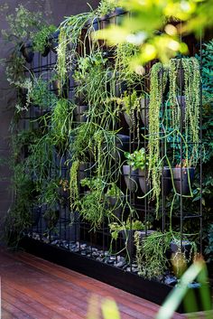 an outdoor garden with lots of plants growing on the fence and in pots hanging from it's sides